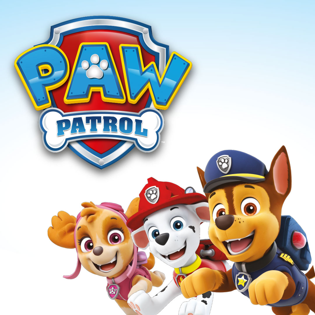 Paw Patrol Licensed Products