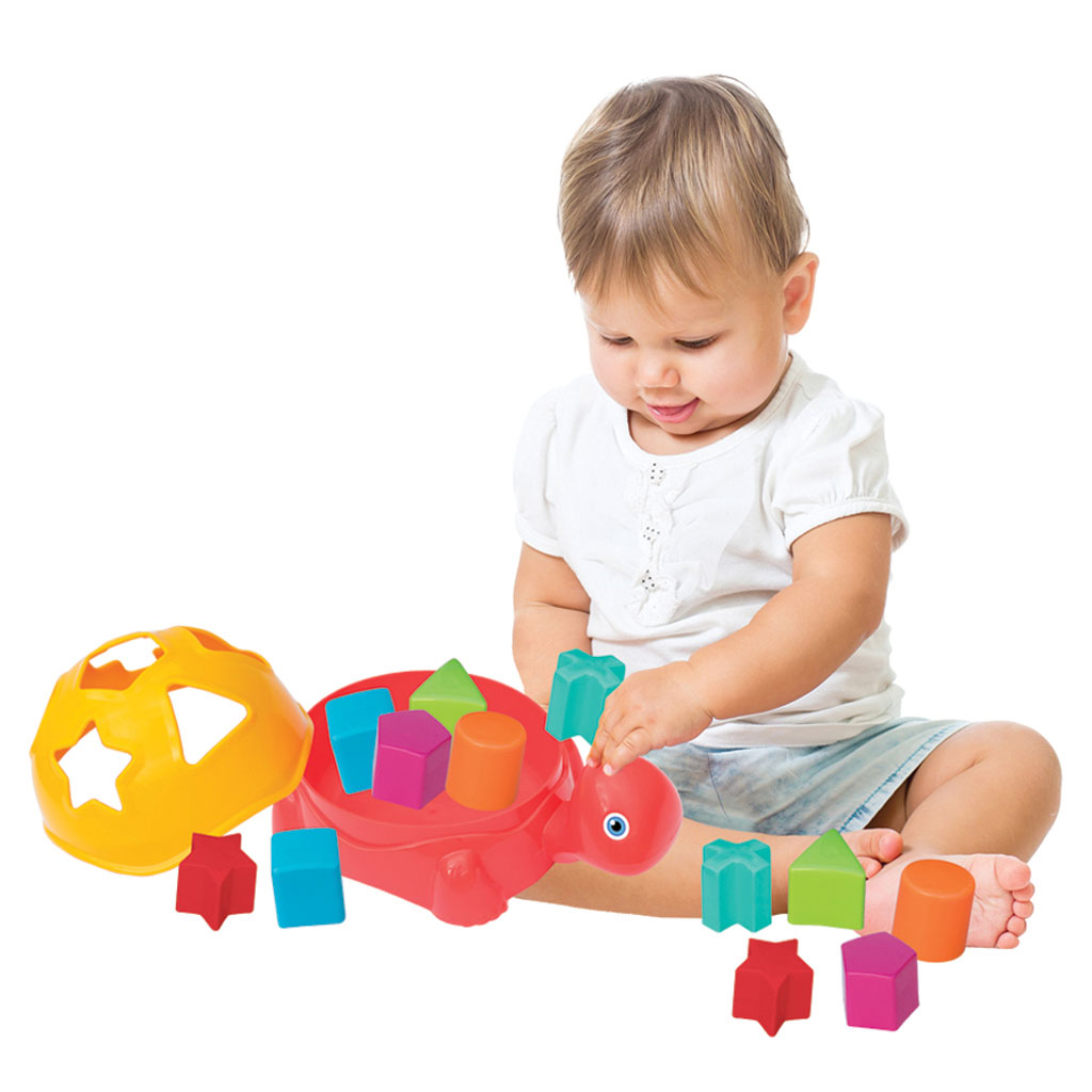 Shape Sorter Turtle