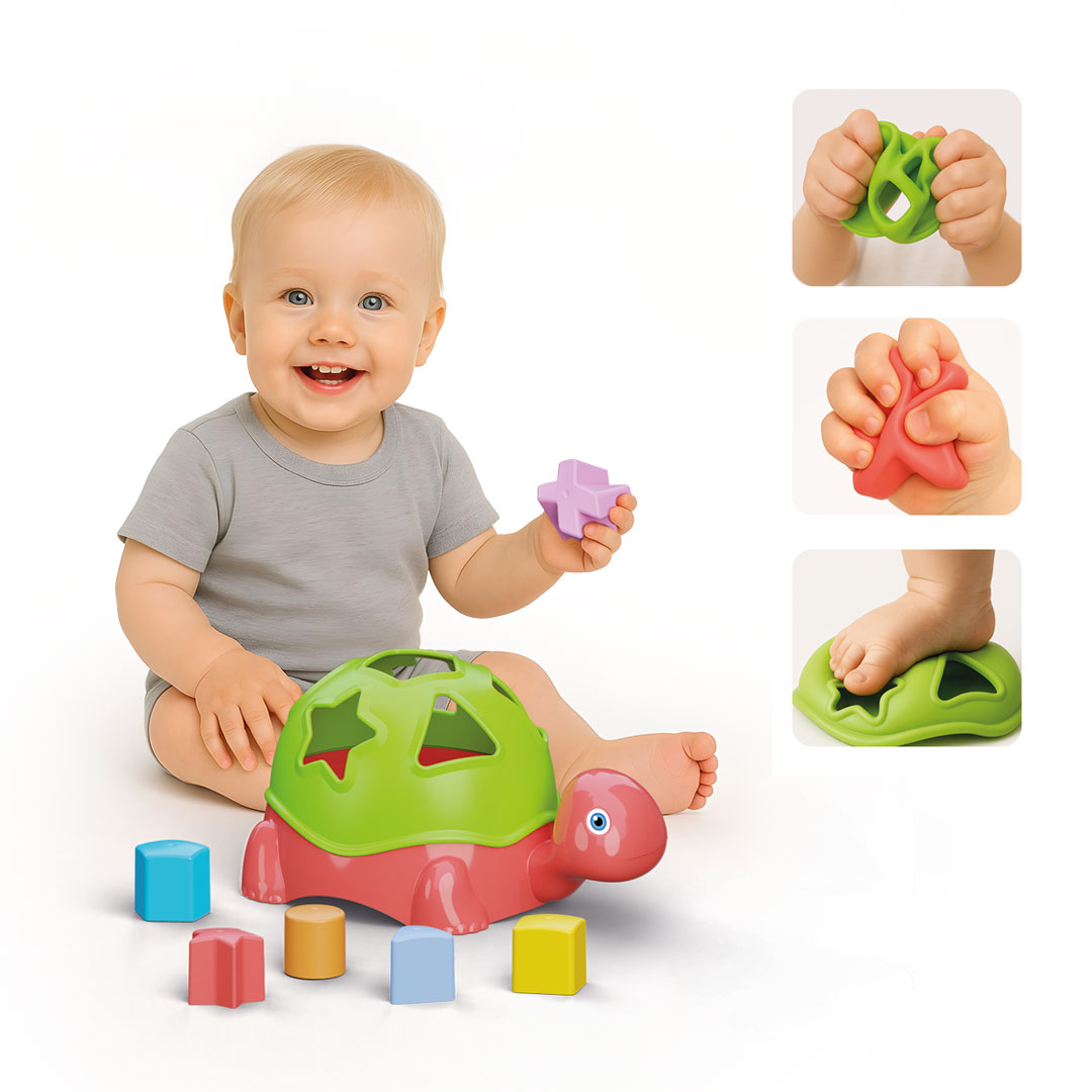 Yumuşak Kaplumbağa Bultak